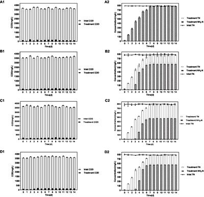 Characterization and genome sequence of N,N-dimethylformamide degradation in Paracoccus sulfuroxidans DM175A1-1 isolated from activated sludge of wastewater